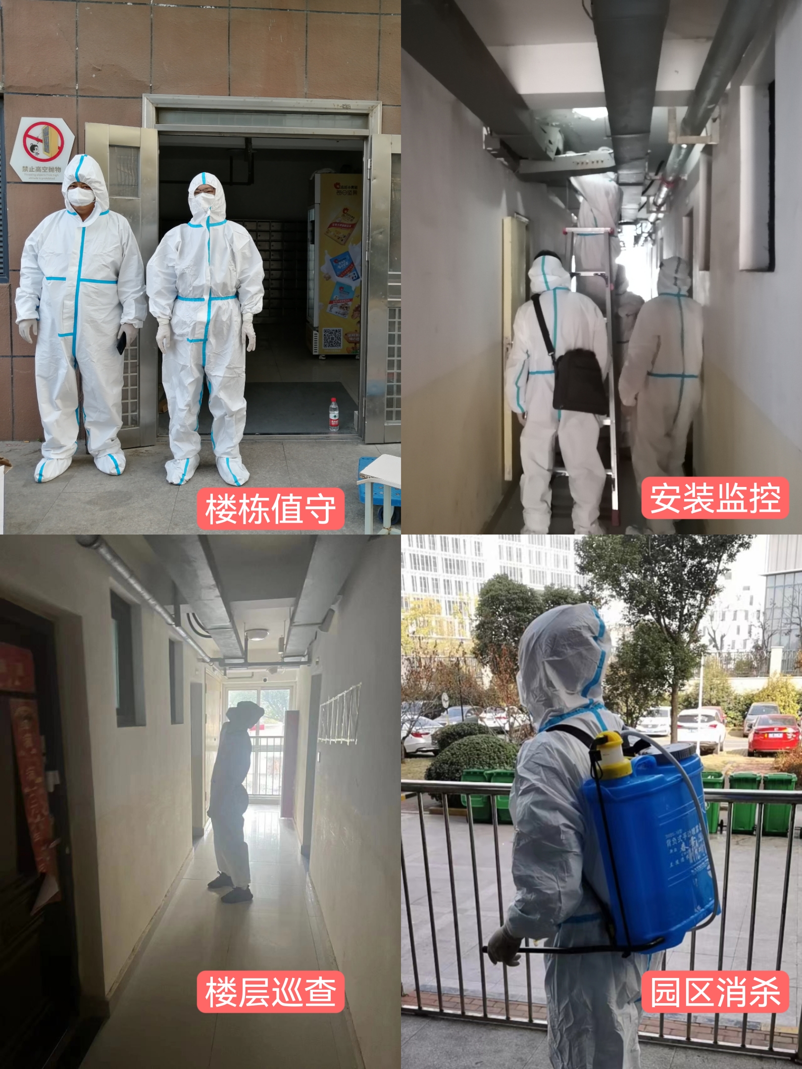 yl6809永利(中国游)官方网站